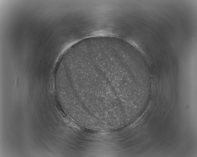 X0000066531358200604141829