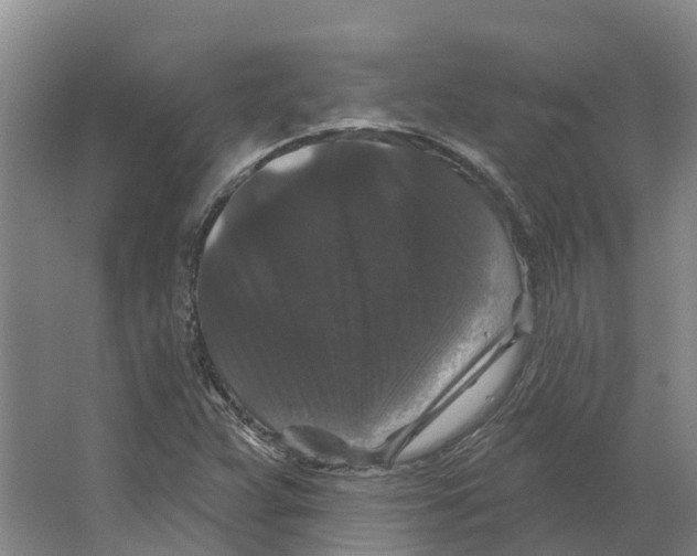 X0000066531359200604141829