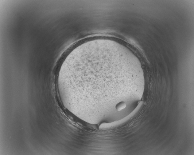 X0000066531360200604141829