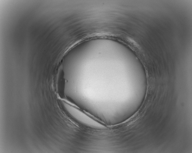 X0000066531361200604141829