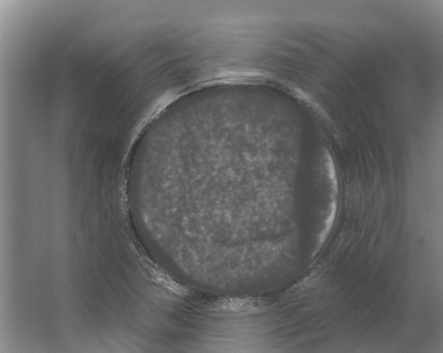 X0000066531362200604141829