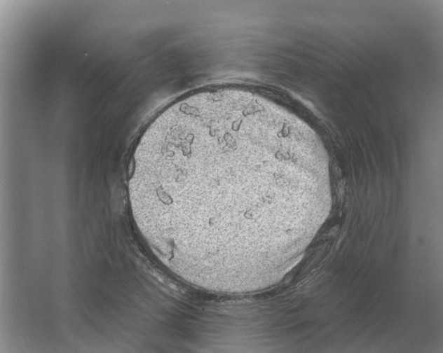 X0000066531363200604141829