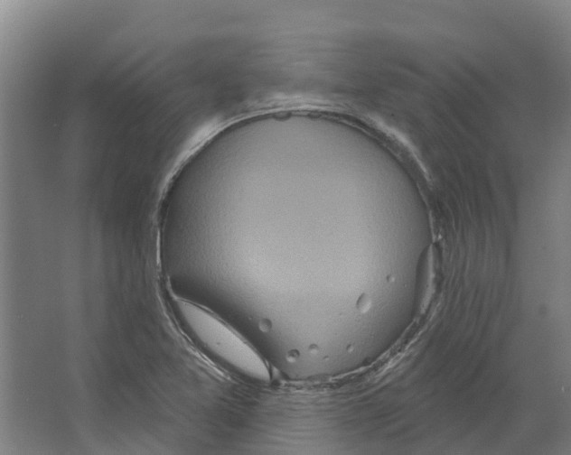 X0000066531365200604141829