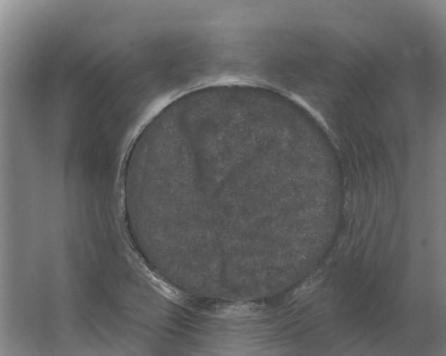 X0000066531367200604141829