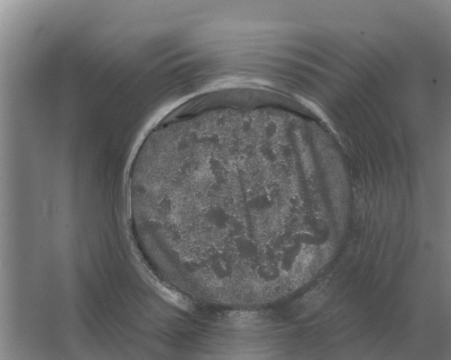 X0000066531371200604141829