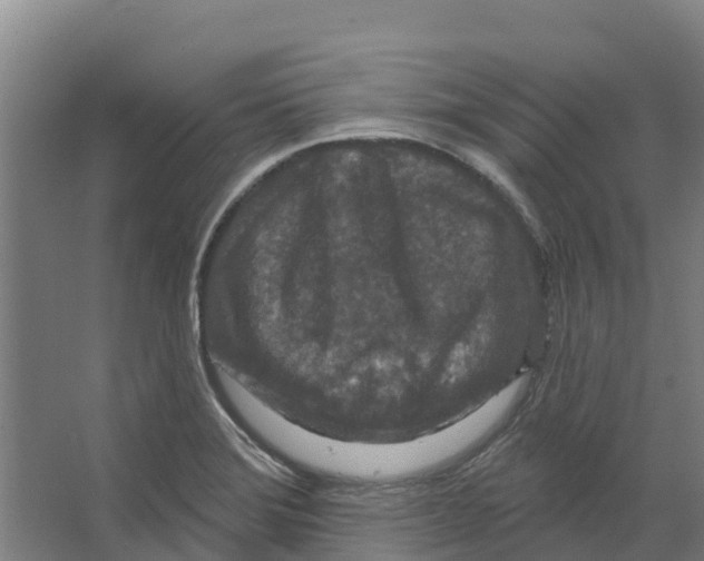 X0000066531372200604141829