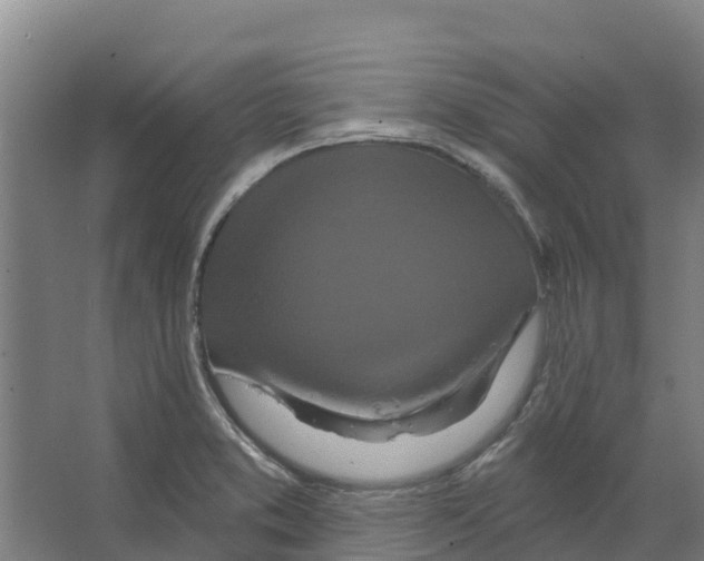 X0000066531373200604141829