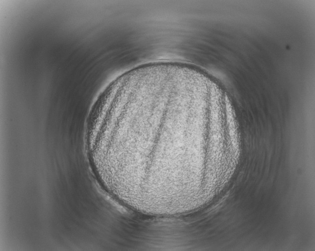 X0000066531374200604141829