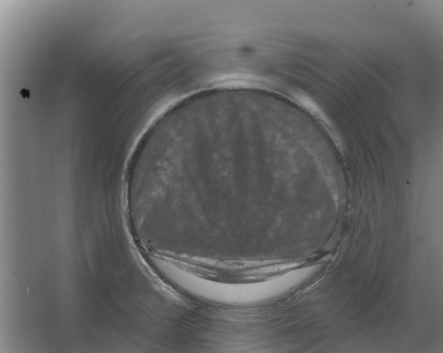 X0000066531376200604141828