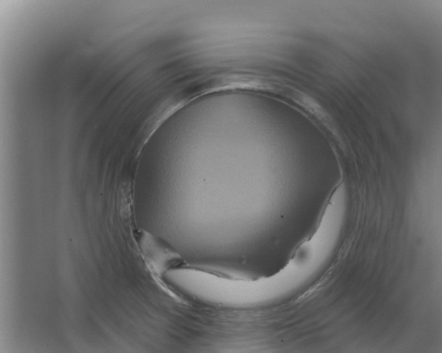 X0000066531377200604141828