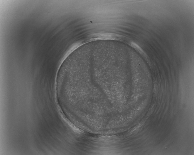 X0000066531378200604141828