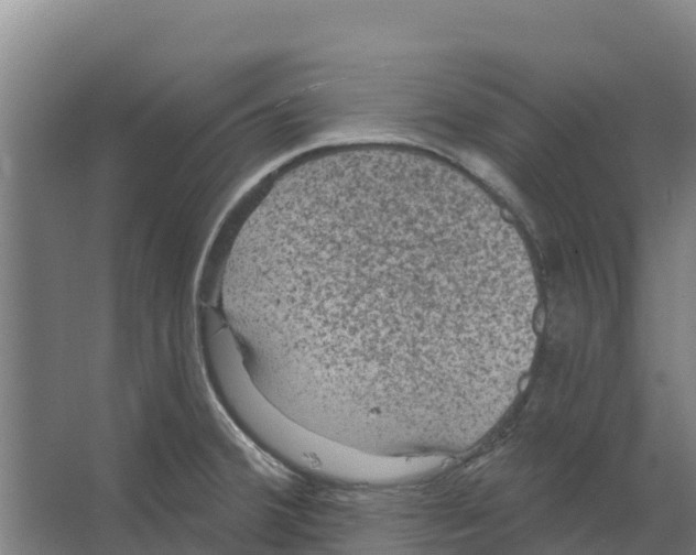 X0000066531380200604141828