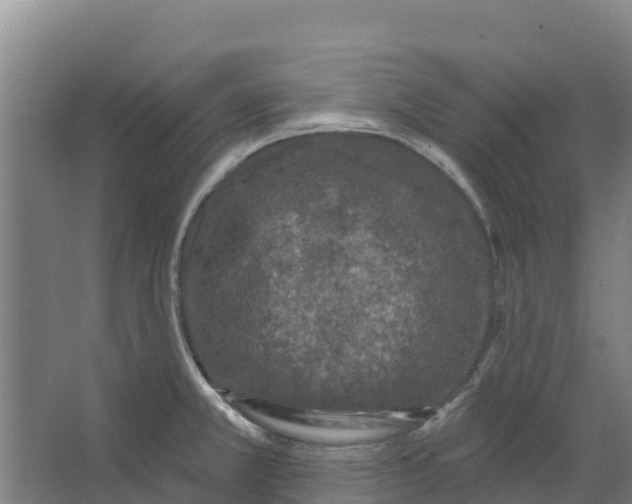 X0000066531381200604141828