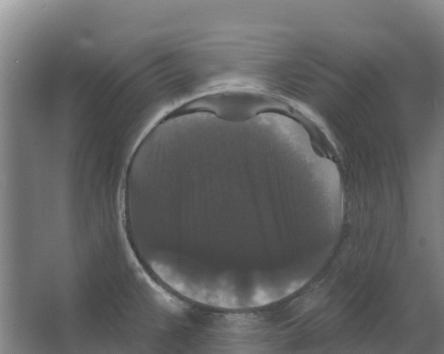 X0000066531383200604141828