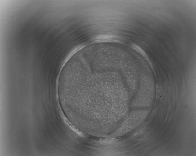 X0000066531386200604141828