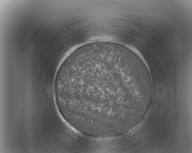 X0000066531389200604141828