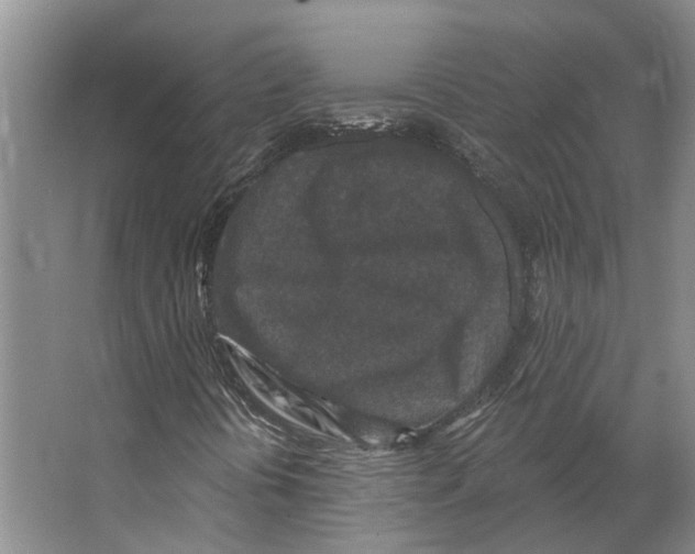 X0000066531394200604141827