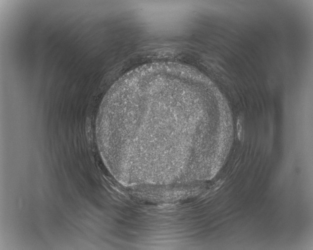 X0000066531395200604141827