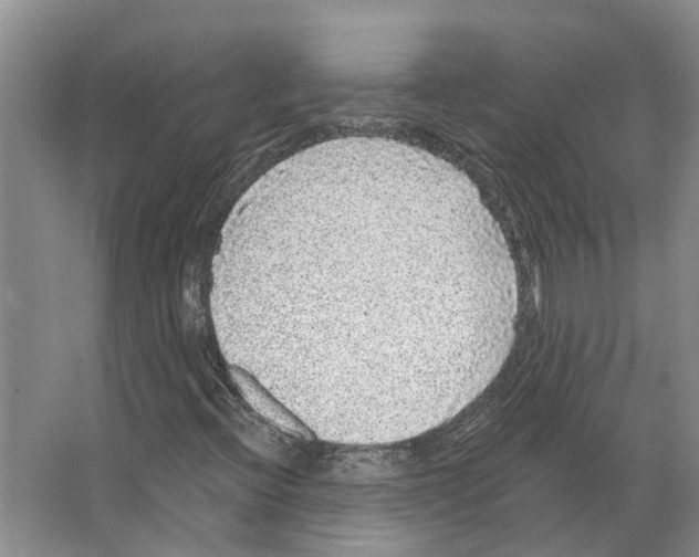 X0000066531396200604141827