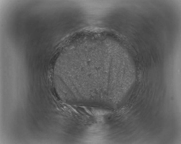 X0000066531397200604141827