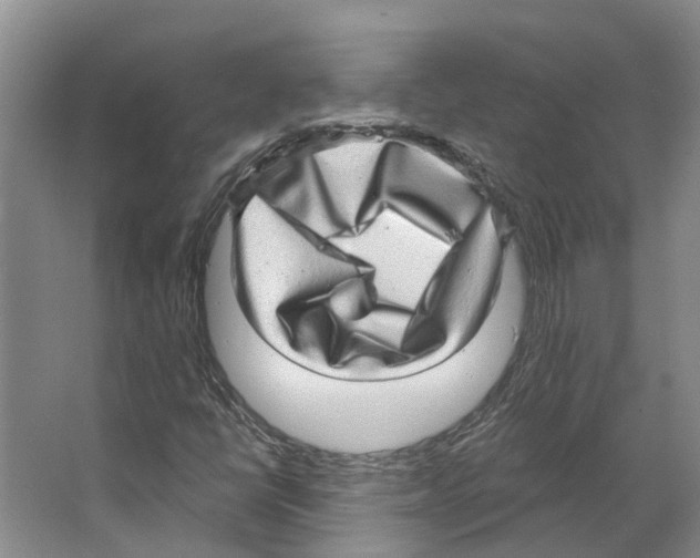 X0000066531398200604141828