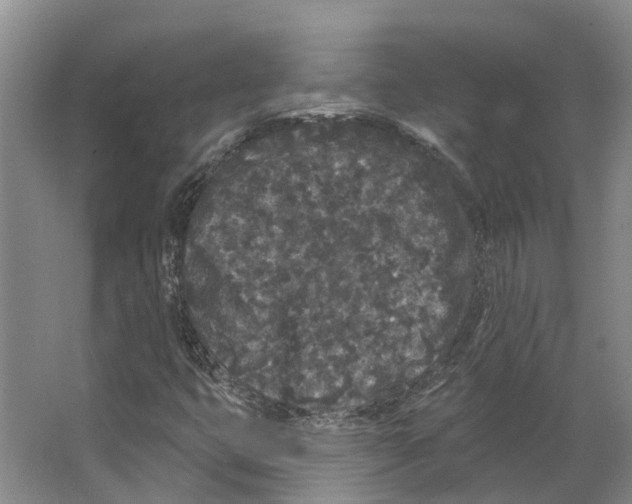 X0000066531399200604141828