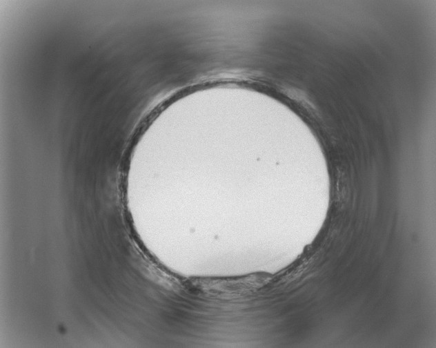 X0000066531404200604141828