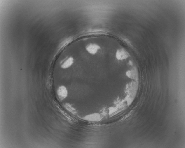 X0000066531405200604141828