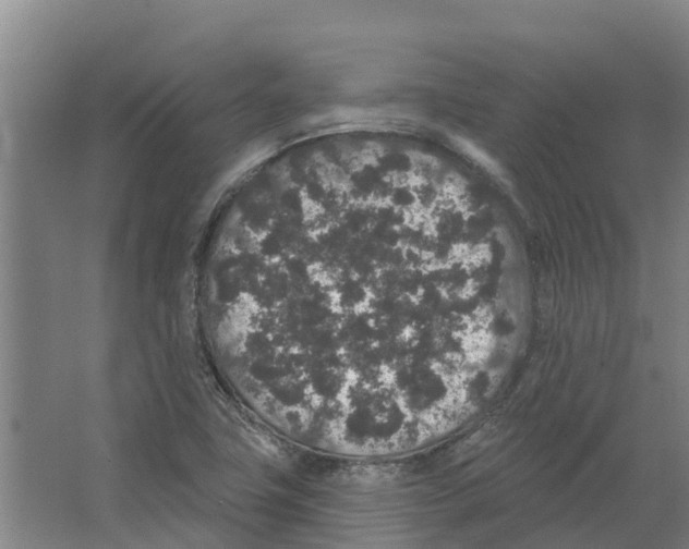 X0000066531411200604141828