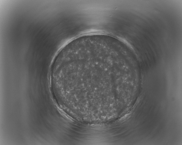 X0000066531413200604141828