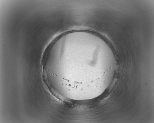 X0000066531414200604141828