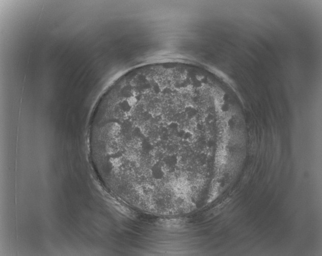 X0000066531415200604141828