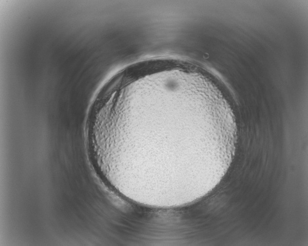 X0000066531416200604141828