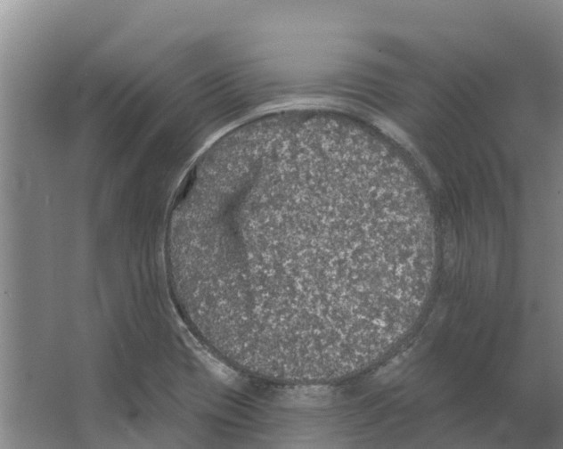 X0000066531417200604141828