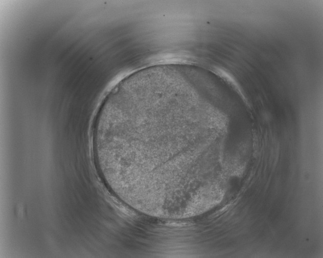 X0000066531419200604141828