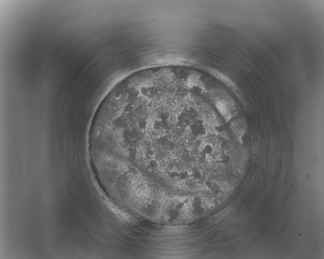 X0000066531423200604141828