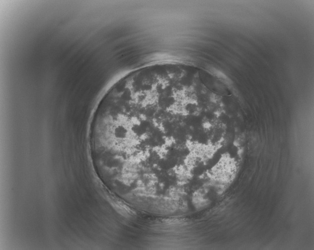 X0000066531427200604141828