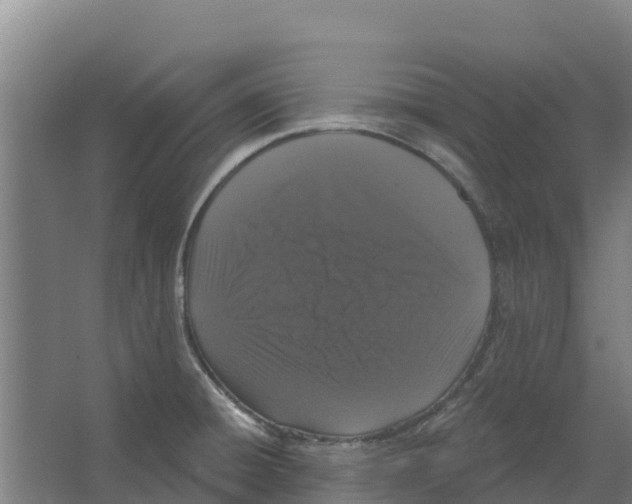 X0000066531428200604141828