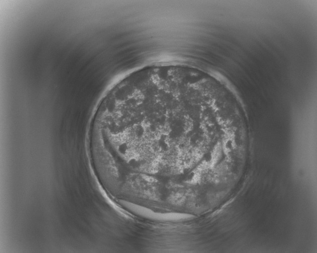 X0000066531429200604141828