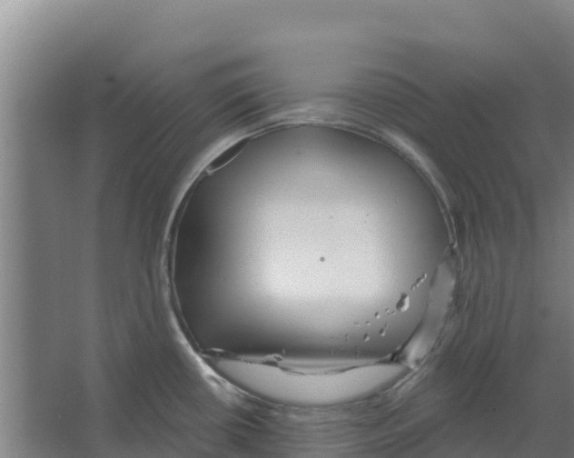 X0000066531434200604141828