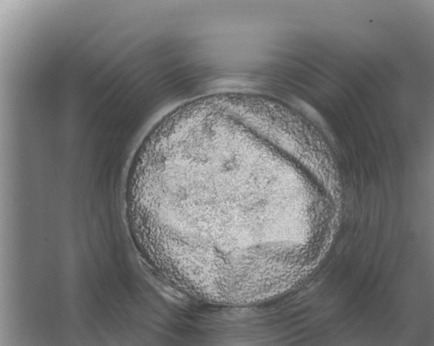 X0000066531435200604141828