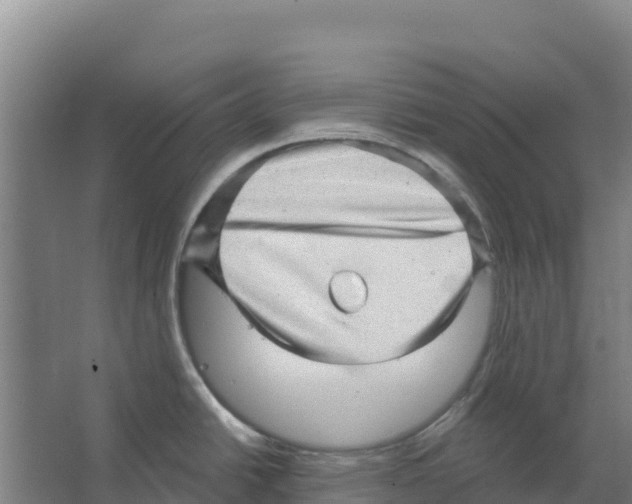 X0000066531438200604141828