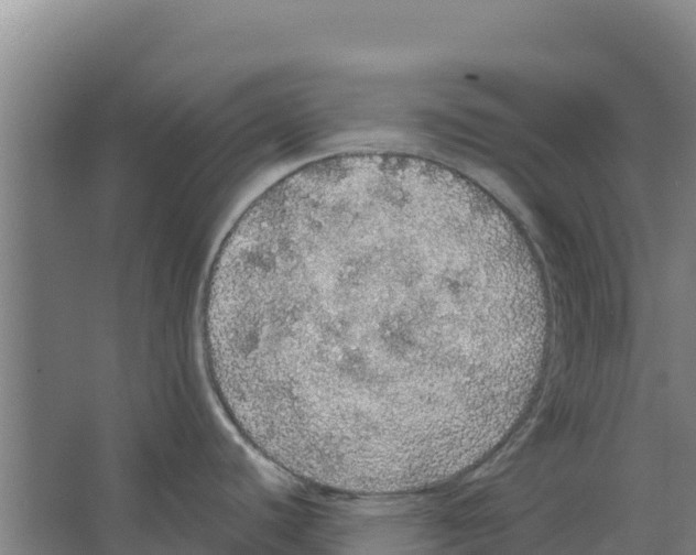 X0000066531440200604141828