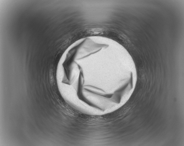 X0000066531442200604141827