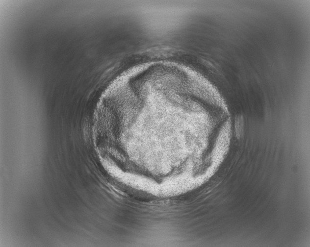 X0000066531444200604141827