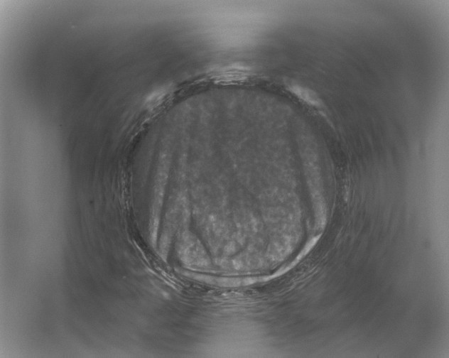 X0000066531445200604141827