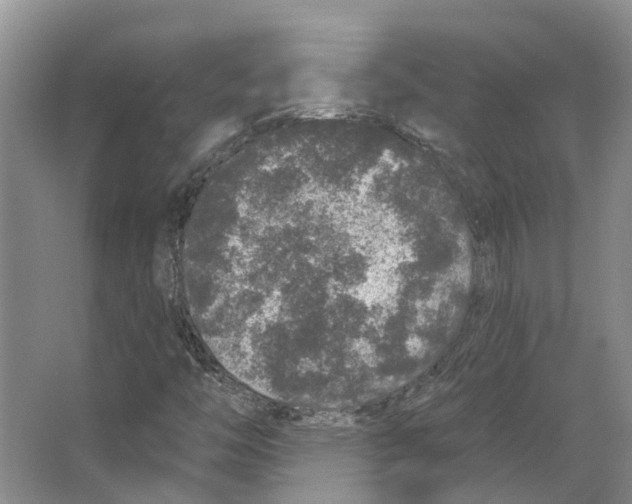 X0000066531446200604141827