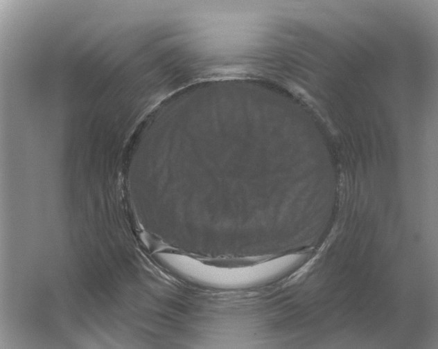 X0000066531449200604141827