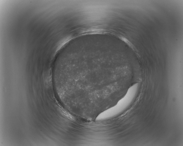 X0000066531450200604141827