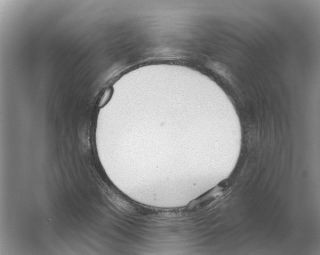 X0000066531451200604141827